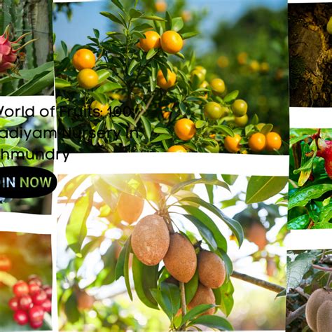 Best Gardening Tips | News and Care — Tagged "100 varieties of fruit ...