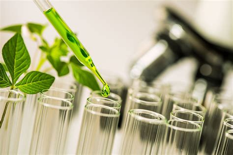 Anthocyanin Naturals - Naturals extracts | Essential oils | Oleoresin ...