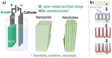 Anodization Process Setup Schematic 的图像结果