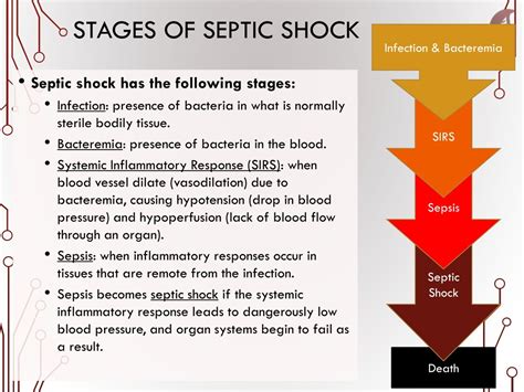 PPT - Pathogens and Their Impact on Health PowerPoint Presentation, free download - ID:8862223