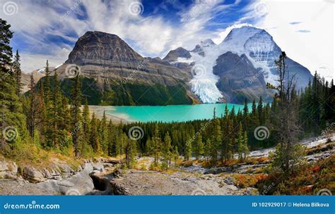 Mount Robson Berg Lake Trail Canadian Rockies Stock Image - Image of ...