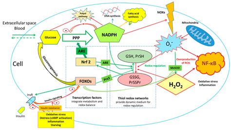 Glucose as a Major Antioxidant: When, What for and Why It Fails?