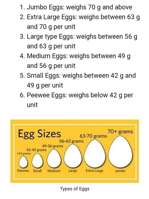 Egg Size Chart