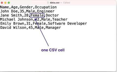 Excel CSV Import 的图像结果