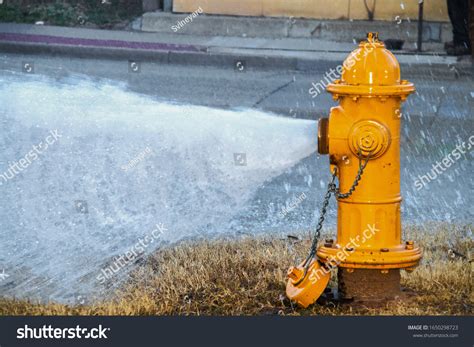 4 490 Fire Hydrant Yellow Images, Stock Photos & Vectors | Shutterstock