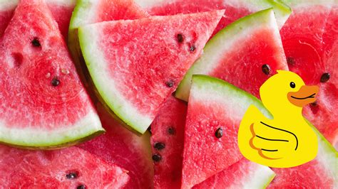 Can Ducks Eat Watermelon? - Farmpertise