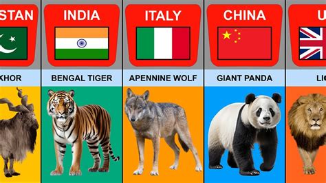 Image result for Animals On Button Moon