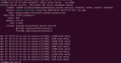 How to Install and Set Up Microsoft SQL Server 2022 Express Edition on ...