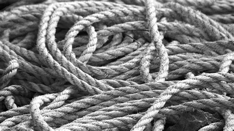 Download wallpaper 2560x1440 rope, macro, black and white widescreen 16 ...