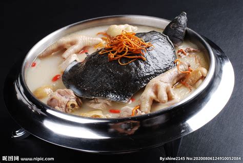 广东终于入冬了，煮一锅水鱼鸡打边炉，配上鸡子生蚝一起太好吃了_腾讯视频