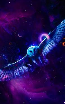 Neon Owl Wallpaper by Neon Owl Free 4k Ultra Hd Mobile Wallpaper Neon Owl Wallpaper