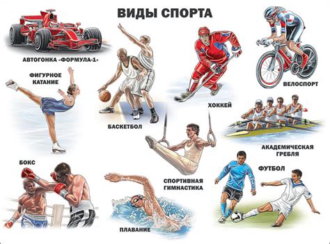 Список видов спорта | Медальницы из дерева