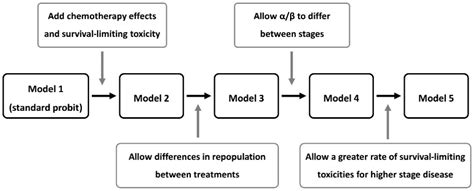 Dose-Response Analysis Describes Particularly Rapid Repopulation of Non ...
