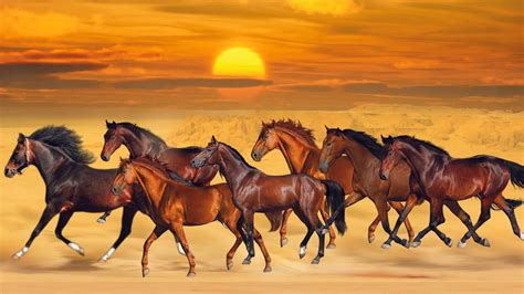 [100+] 7 Horses Wallpapers | Wallpapers.com