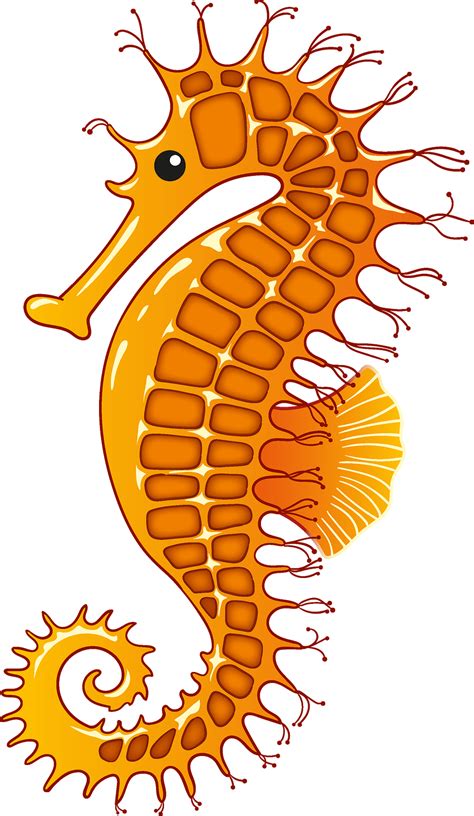 Seahorse Clip Art