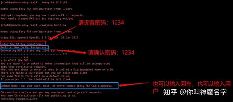 Easy-Rsa OpenVPN 的图像结果