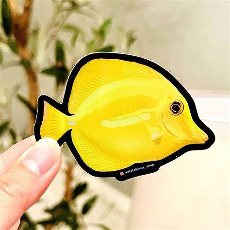 Yellow Tang Sticker (holographic) | Fish Art Sticker | Aquarium Art ...
