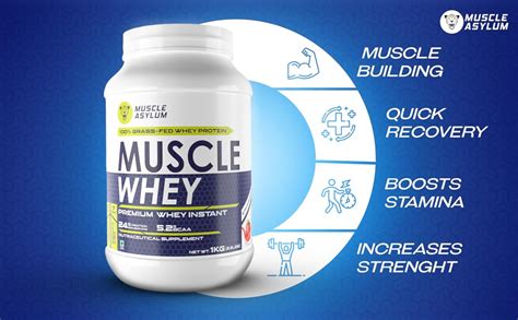 Muscle Asylum Premium Whey Protein l 1kg, 25 Servings l Strawberry ...
