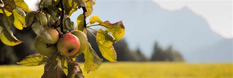 Home | Wright-Beard Funeral Home serving Cortland, New York