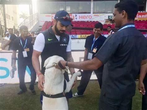 देखें VIDEO, प्रैक्टिस से पहले मैदान पर दिखा विराट का 'डॉग लव' - virat ...