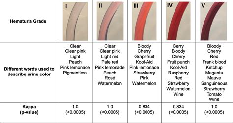 Image result for Sum of Rows Java