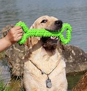 Image result for Good Chew Toys for Rabbits