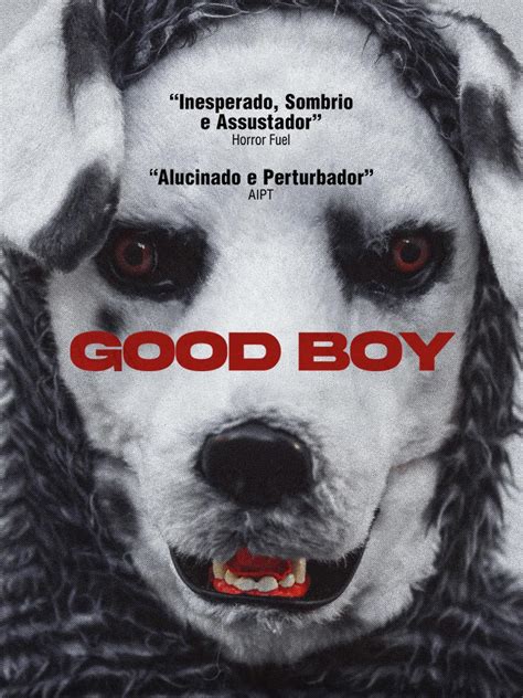 Prime Video: Good Boy