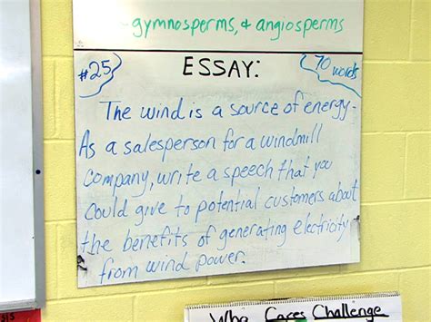 Image result for Essay Assignment