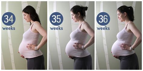Pregnancy Update and Belly Pic- Weeks 34-36