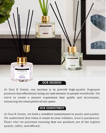 Soul & Scents Glass 120ml Citronella Reed Diffuser Set | Free 6 Fiber ...