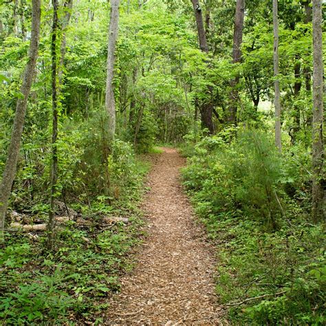 NAGS HEAD WOODS PRESERVE (2025) All You Need to Know BEFORE You Go ...