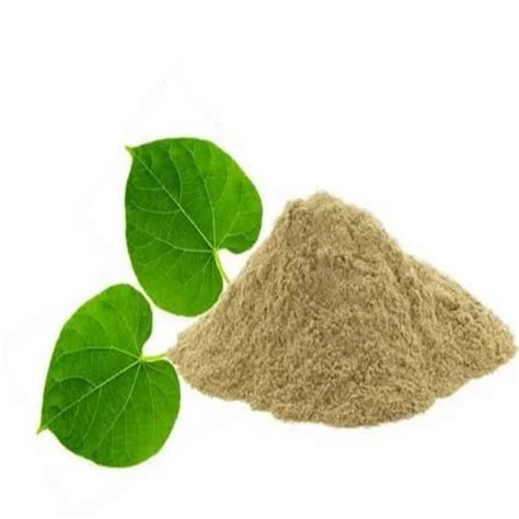 Herbal Powder - Tulsi Leaves Powder Manufacturer from Bengaluru