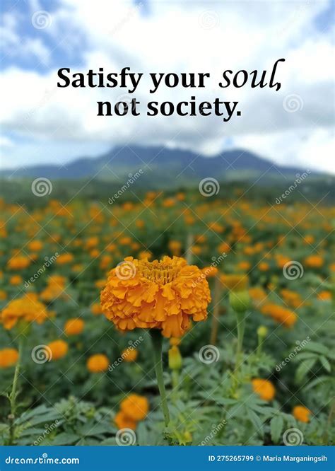 Life Inspirational Quote - Satisfy Your Soul, Not Society. with Orange ...