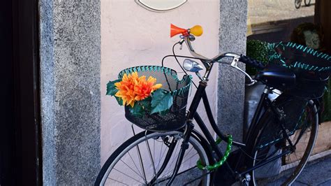 Download wallpaper 1920x1080 bicycle, basket, flowers full hd, hdtv ...