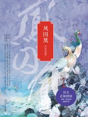 凤囚凰小说在线阅读 天衣有风 电子书- YueDu88
