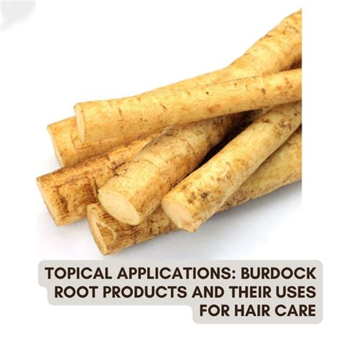 The Hair Care Benefits of Burdock Root | Clinikally