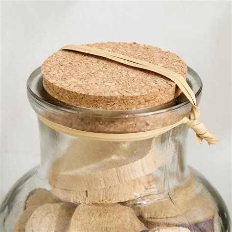 Buy Lets Garden Hues Dried Log Slices in Glass Bottle from Home Centre ...
