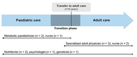 Implementing a Transition Program from Paediatric to Adult Services in ...