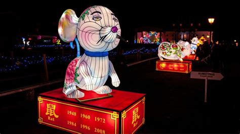 Year of the Rabbit: Your Chinese zodiac love life predictions for 2023