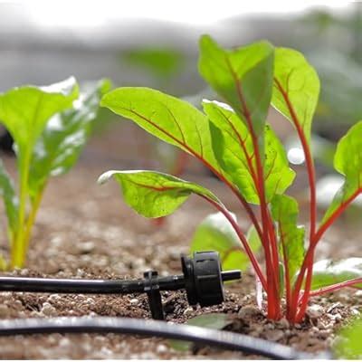 AEO Solar-Powered Automatic Watering Drip Irrigation India | Ubuy