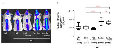 The Expression of the Alpha7 Nicotinic Acetylcholine Receptor and the ...