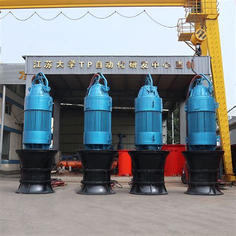 800Q-125卧式潜水轴流泵厂家生产-德能泵业（天津）有限公司