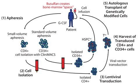 Gene Vector 的图像结果