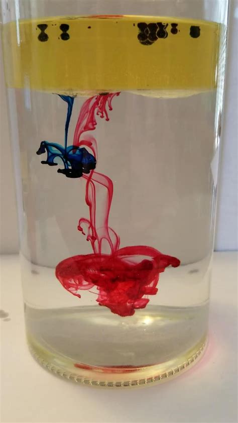 Fast Easy Science Projects 的图像结果