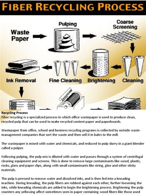 Image result for Paper Recycling PDF