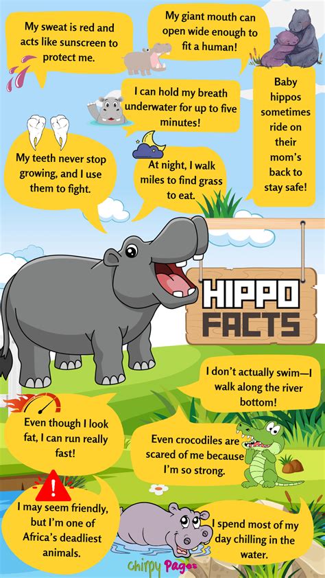 Hippo Facts For Kids | Facts for kids, Hippo facts, Fun facts for kids