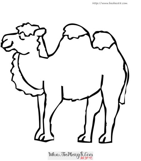 骆驼的简笔画简单,骆驼简笔画儿童,沙漠骆驼简笔画(第2页)_大山谷图库