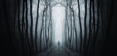 The Experimental Stage: The First Step on a Dark Path | Rehabs.in Rehabs.in