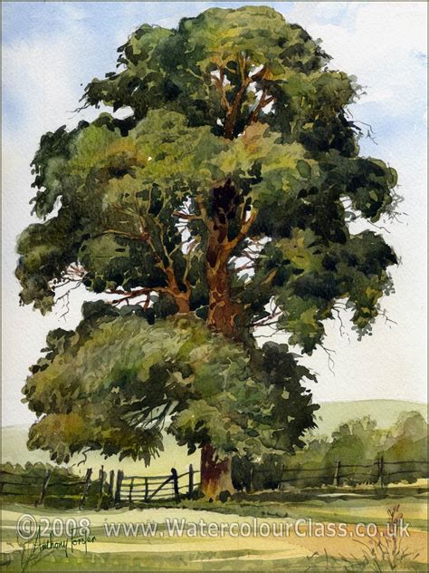 Tree watercolor painting, Watercolor landscape paintings, Landscape paintings