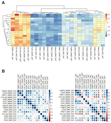 The Effect of Mineralocorticoid Receptor 3 Antagonists on Anti ...